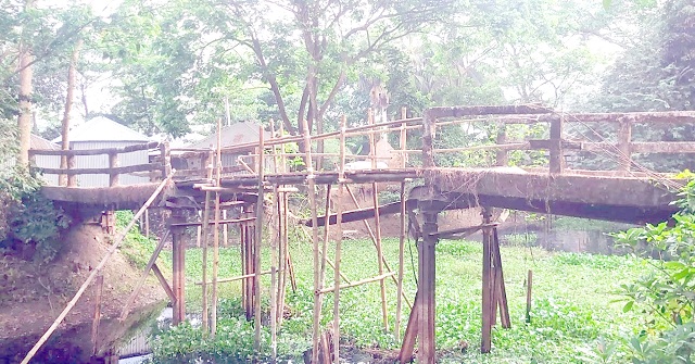  জরাজীর্ণ সেতুতে বাঁশ দিয়ে জোড়াতালি দিয়ে চলছে পারাপার