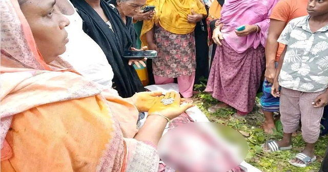 উজিরপুরে যাত্রীবাহী বাসের চাপায় দাদি ও নাতি নিহত