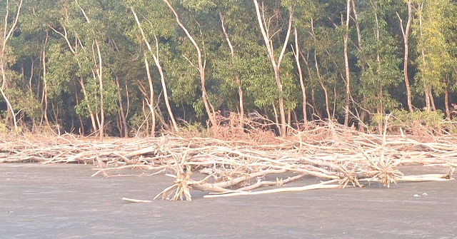 ভাঙনের কবলে বরগুনার পর্যটনস্পট শুভসন্ধ্যা সমুদ্র সৈকত