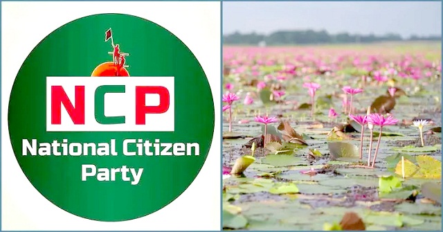 ‘শাপলা কলি’ নয় ‘শাপলা’ চায় এনসিপি