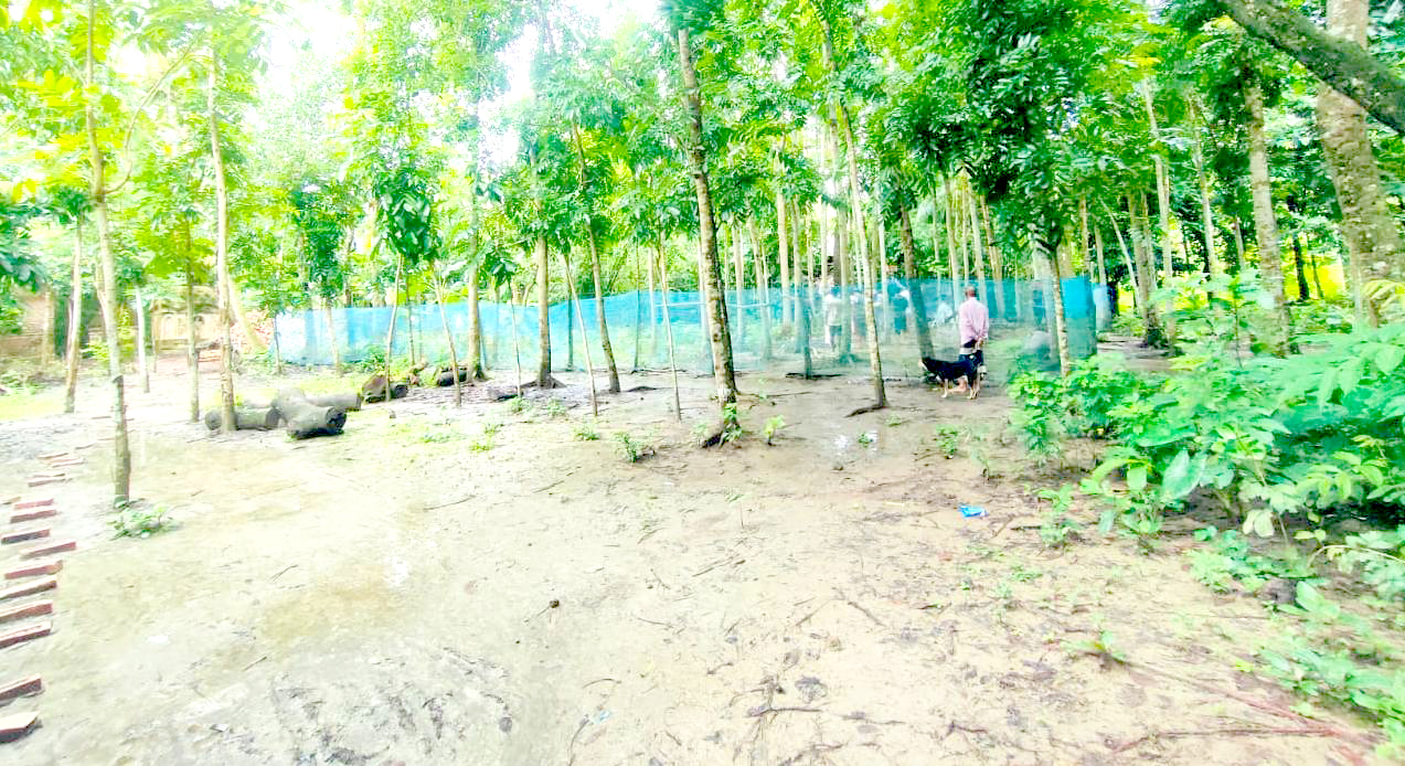 উজিরপুরে সংখ্যালঘু পরিবারের জমি দখল 