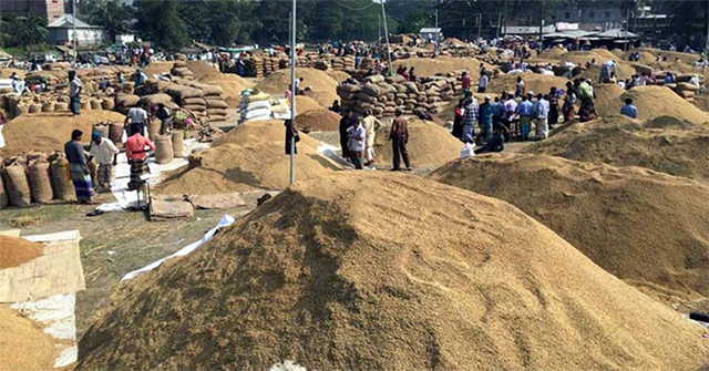 বরিশালে সরকারি লক্ষ্যমাত্রার ২৫ ভাগ ধানও সংগ্রহ হয়নি