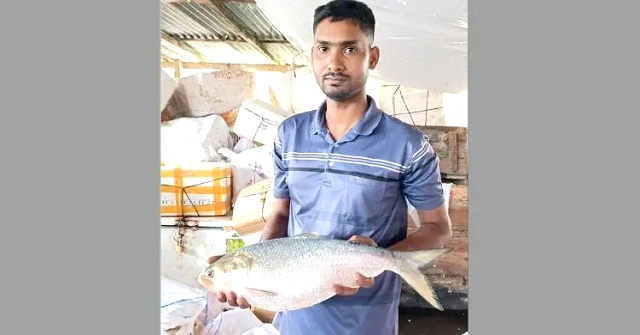 এক রাজা ইলিশ ১৬ হাজারে বিক্রি