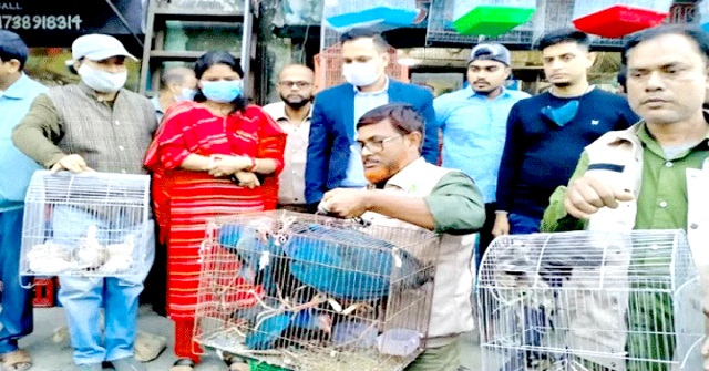 দেশের ১৩ স্থানে অবৈধভাবে চলছে বন্যপ্রাণী বেচাকেনা: গবেষণা 