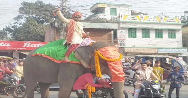 বাবার ইচ্ছে পূরণে হাতির পিঠে চড়ে বিয়ে