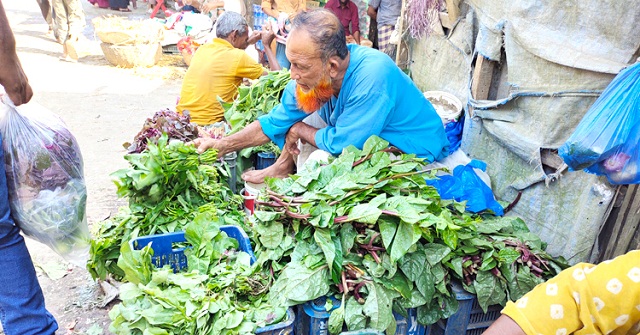 গরিবের ভরসা এখন কলমিশাক