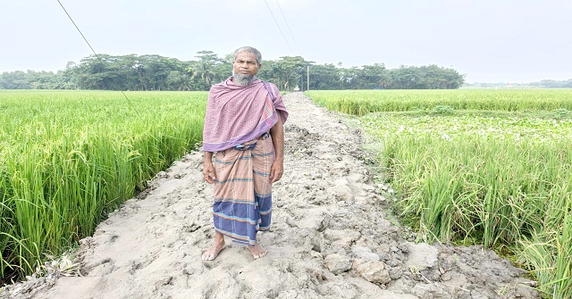 চরফ্যাশনে বদলে গেছে গ্রামের চিত্র