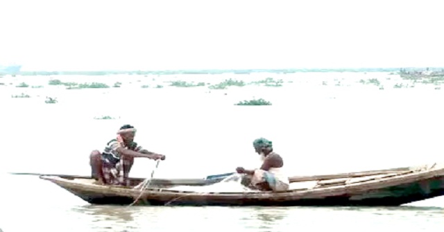 ভোলার মেঘনা ও তেঁতুলিয়া নদীতে মিলছে ইলিশ, বিপাকে ৩ লাখ জেলে