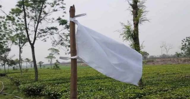৭০ বছর ভারতের দখলে থাকা বাংলাদেশি ৯১ বিঘা জমি উদ্ধার করেছে বিজিবি