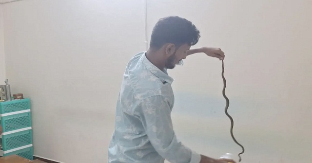 সাগরদীতে ক্লিনিকের এসির ভেতর থেকে কালনাগিনী সাপ উদ্ধার
