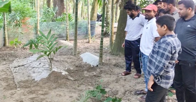 ভোলায় দাফনের ১৮ দিন পর তরুণীর কবর খুঁড়ে যা দেখলেন স্বজনরা