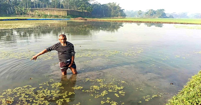 আগৈলঝাড়ায় বোরো ব্লকের জমি চাষের আওতায় না আসায় ক্ষুব্ধ চাষীরা