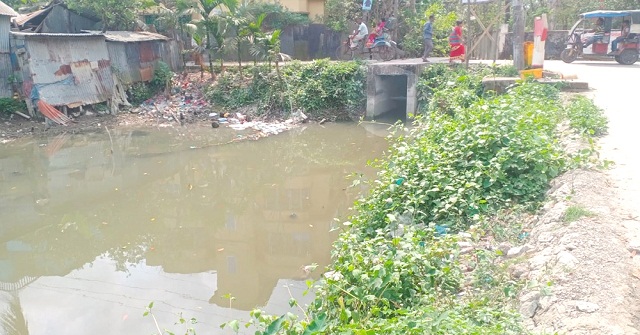  কলাপাড়ায় যোগাযোগ উন্নয়নে অপ্রশস্ত কালভার্ট ; বন্ধ শতাধিক খালের পানির স্বাভাবিক প্রবাহ