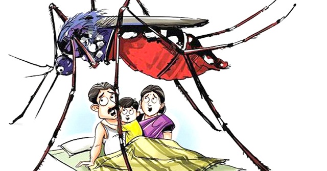 সন্ধ্যা হলেই বাড়ে মশার উৎপাত, অতিষ্ঠ নগরবাসী 