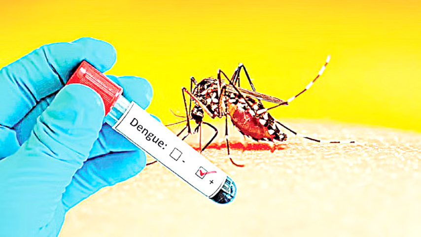  একদিনে বরিশাল বিভাগে ১২৬ ডেঙ্গু রোগী শনাক্ত