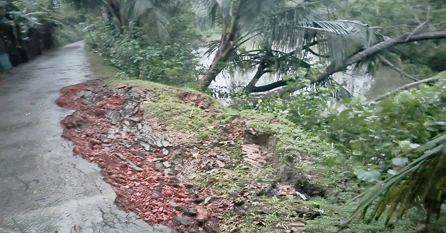 আমতলীতে সড়ক ধসে মাছের ঘেরে 