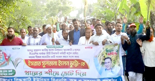 ঝালকাঠিতে ইলেন ভুট্টোর সমর্থনে ২০ ইউনিয়নে একযোগে ধানের শীষের গণমিছিল