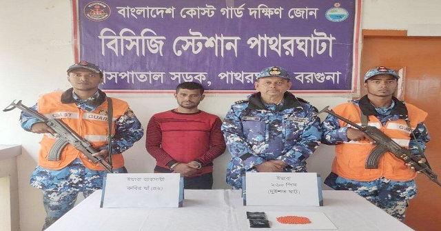 পাথরঘাটায় ইয়াবাসহ যুবক আটক
