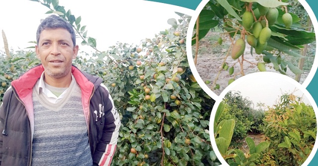 ২ বছরের পরিশ্রমে মাসে ১৮ লাখ টাকার ফল বিক্রি
