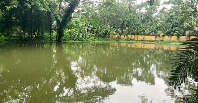  বদলি হওয়ায় রাতের আঁধারে সরকারি পুকুর থেকে মাছ ধরে নিলেন ভূমি কর্মকর্তা