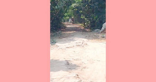 উজিরপুরে হস্তিশুন্ড-কাজিরা রাস্তার বেহাল দশা, চরম দুর্ভোগ
