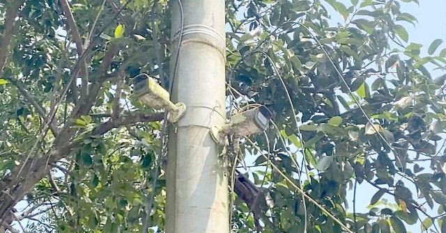 মঠবাড়িয়া পৌর শহরে সিসিটিভি ক্যামেরা অচল, অপরাধ প্রবণতা বাড়ছে 