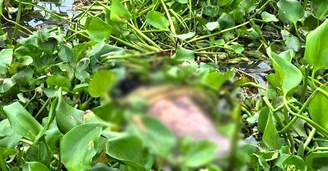 বানারীপাড়ায় খালে মিলল অজ্ঞাত ব্যক্তির গলিত মরদেহ
