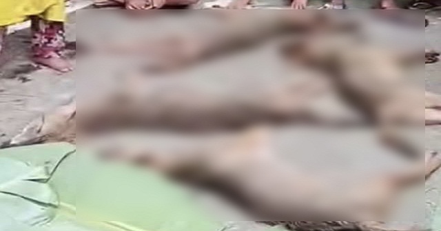 বরিশালে শিয়াল হত্যা করে ফেসবুকে মাংস বিক্রির বিজ্ঞাপন