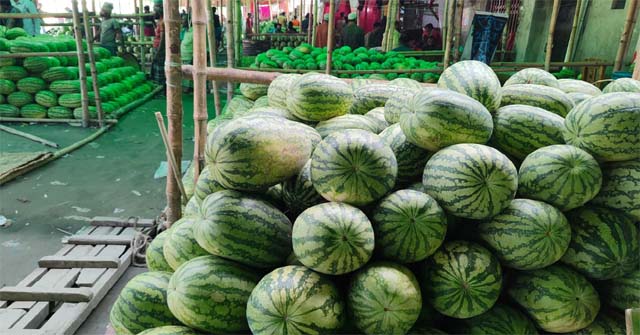 ভারতের কেন্দ্রীয় মন্ত্রী শান্তনু ঠাকুর গ্রেফতার