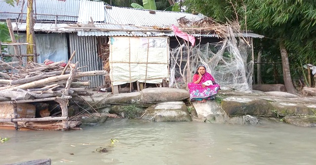 নদীতে ভিটেমাটি হারিয়ে জিওব্যাগের ওপর হাবিব দম্পতির বসবাস 