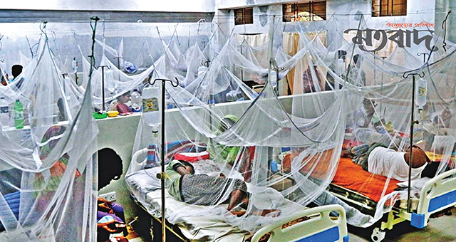 একদিনে ২২১ ডেঙ্গু রোগী হাসপাতালে ভর্তি