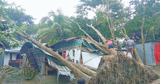 নয় জেলায় ১৬ জনের প্রাণ কেড়ে নিল ঘূর্ণিঝড় সিত্রাং