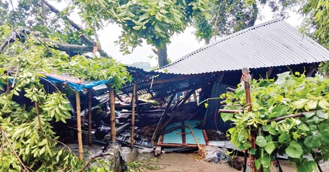 কালবৈশাখী তাণ্ডব চালালো নলছিটির জনপদে, ঘর ধসে এক শিশুর মৃত্যু