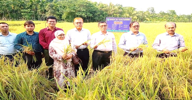  দক্ষিণী সিনেমার এই তারকাদের পড়াশোনা কতদূর?