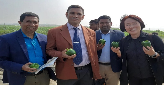 ভোলায় চর পরিদর্শনে দক্ষিণ কোরিয়ার প্রতিনিধি দল