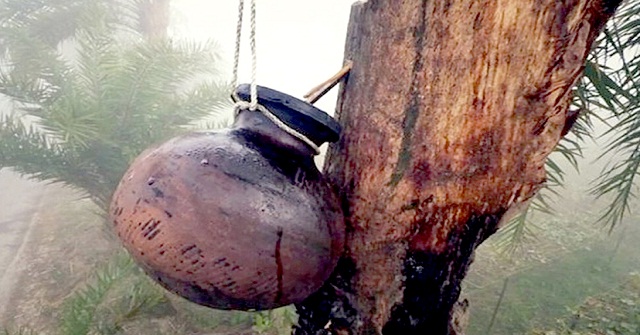 বানারীপাড়ায়  নিপা ভাইরাসে প্রাণ গেল শিশু তহুরার