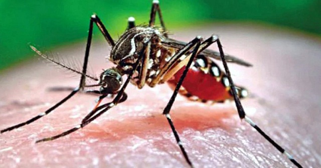 স্বপ্নের সেতু খুলছে কাল