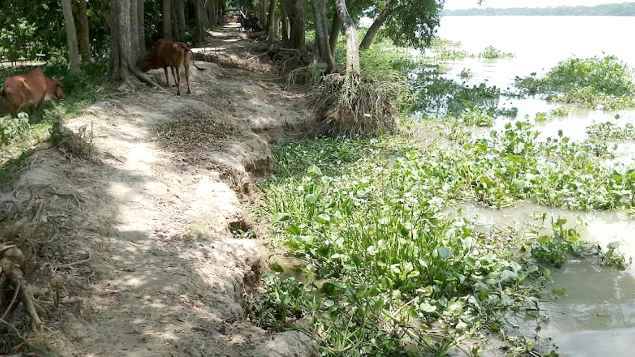 পিরোজপুরে ভাঙা বেড়িবাঁধ নিয়ে আতঙ্ক, ঘরবাড়ি হারানোর শঙ্কায় ২০ হাজার মানুষ