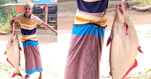 জেলের জালে ধরা পড়লো ১৮ কেজির পাঙাশ