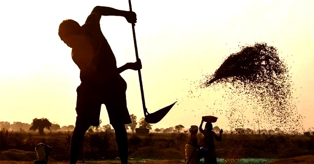 ইরান যুদ্ধের প্রভাবে বিশ্বে বেড়েছে খাদ্যের দাম