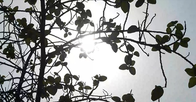 ২৯ জেলায় তাপপ্রবাহ অব্যাহত