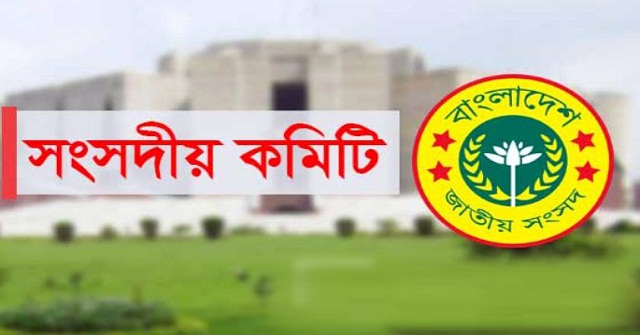 পায়রা বন্দরের প্রশস্ত সড়কের বিভিন্ন স্থানে রানওয়ে তৈরির সুপারিশ