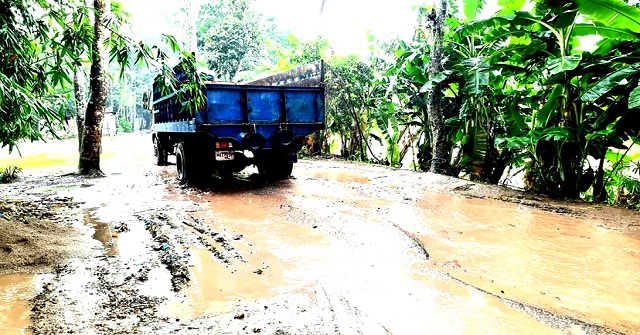 খানাখন্দে বেহাল ১০ কিলোমিটার সড়ক, ভোগান্তি চরমে