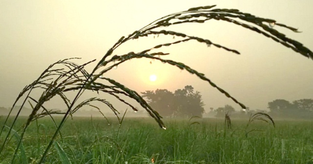 আগামী সপ্তাহ থেকে কমতে পারে তাপমাত্রা