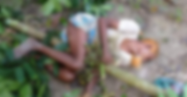 কাঁঠালিয়ায় সুপারি পারতে গিয়ে বৃদ্ধের মৃত্যু
