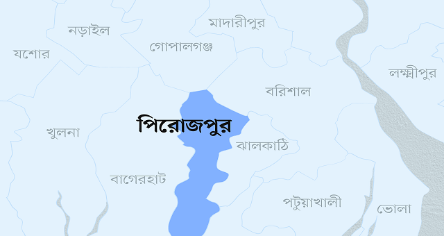 ভাইয়ের মৃত্যুর খবরে চলে গেলেন বোনও