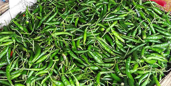 টিসিবির ট্রাকে ৩০ টাকায় পেঁয়াজ