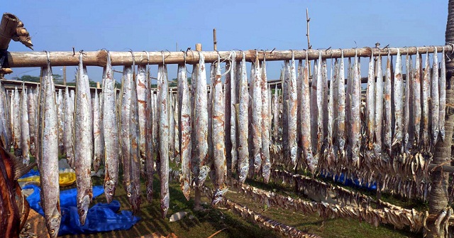 জনপ্রিয় হয়ে উঠছে পিরোজপুরের শুঁটকি ব্যবসা