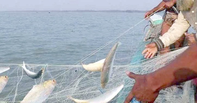 ইলিশ ধরায় বরিশালে ৬১ জেলের কারাদণ্ড