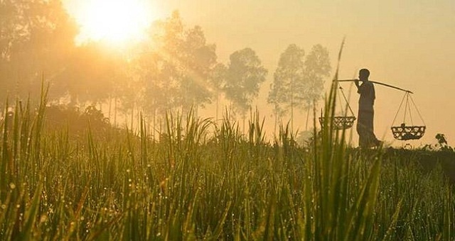 চলতি মাসেই আসছে শীত